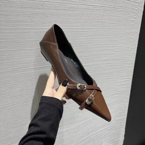 Multi-Color Metal Buckle Pointed-Toe Flats Retro Low-Heel Everyday Commuter Shoes for Women